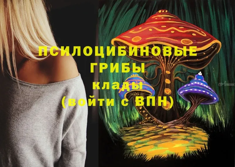 Псилоцибиновые грибы Cubensis  hydra   Белоярский 